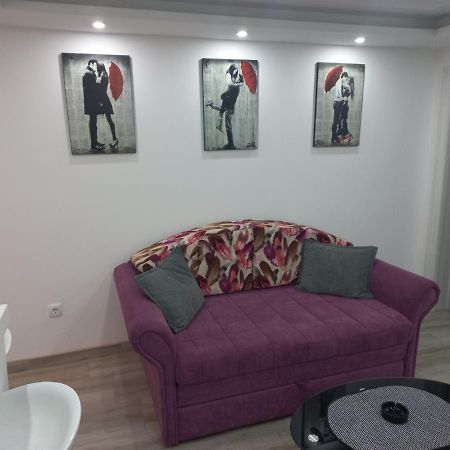 Vrnjačka Banja Adrijana 2 Apartmani מראה חיצוני תמונה