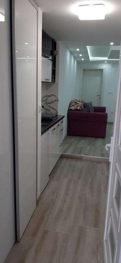 Vrnjačka Banja Adrijana 2 Apartmani מראה חיצוני תמונה